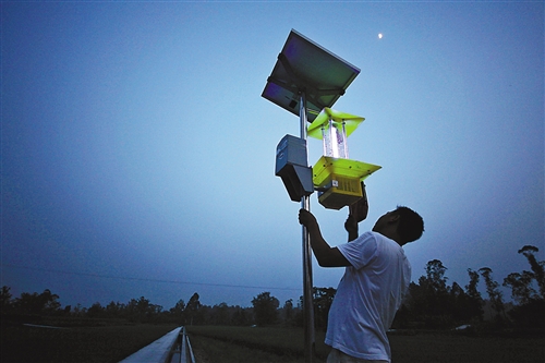 如何科學有效的使用太陽能殺蟲燈？