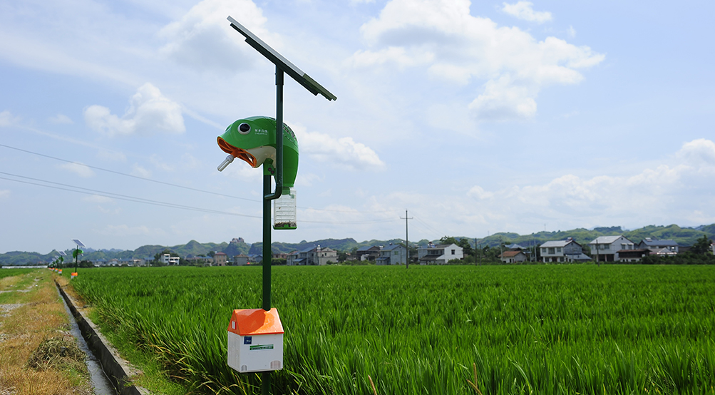 【圍觀】研究人員利用太陽(yáng)能捕蚊器來捕捉瘧蚊