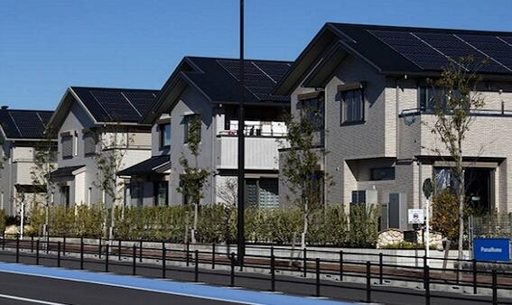 【圍觀】防暑降溫“神器” 你家屋頂裝了嗎？